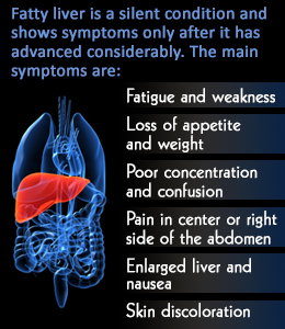 The Liver’s Importance in the Human Body: Why You Should Care for It